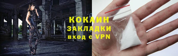 прущие грибы Красноперекопск