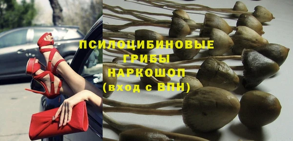 эйфоретик Костерёво