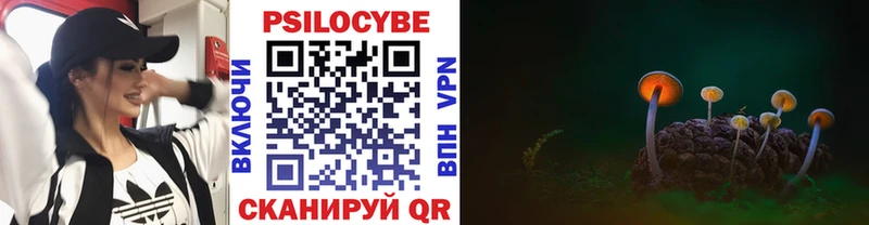 мега как войти  Лениногорск  Псилоцибиновые грибы Cubensis 